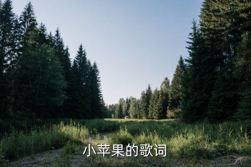小苹果的歌词
