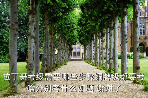 拉丁舞考级需要哪些步骤铜牌级都要考啥分别考什么如题 谢谢了