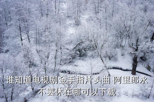 谁知道电视剧金手指片头曲 阿里郎永不罢休在哪可以下载