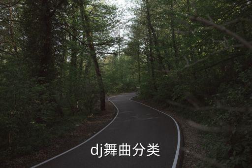 dj舞曲分类