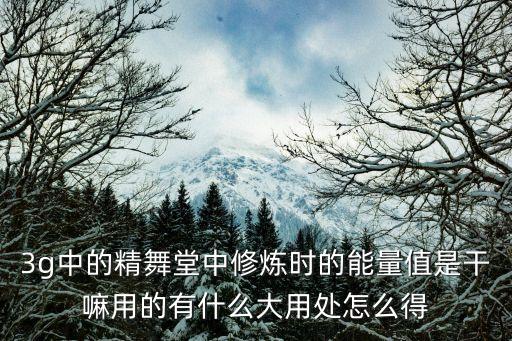 3g中的精舞堂中修炼时的能量值是干嘛用的有什么大用处怎么得