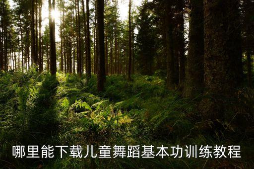 哪里能下载儿童舞蹈基本功训练教程
