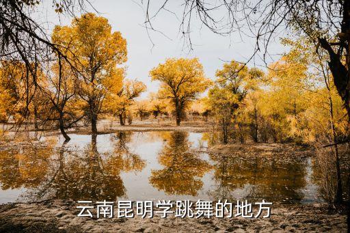 云南昆明学跳舞的地方