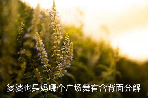 婆婆也是妈哪个广场舞有含背面分解