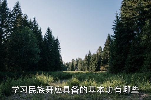 学习民族舞应具备的基本功有哪些