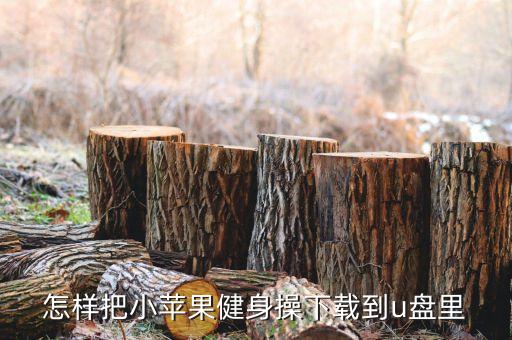 小苹果怎么跳舞视频下载，小苹果mv怎样下载mp4