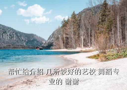 帮忙给介绍 几所较好的艺校 舞蹈专业的 谢谢