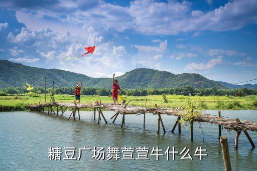 糖豆广场舞萱萱牛什么牛