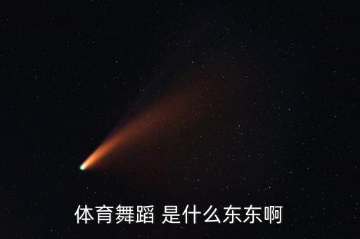 体育舞蹈 是什么东东啊