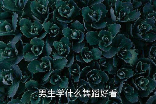 男孩学跳舞学什么舞蹈视频，要有比较适合男生跳舞的视频要初学者的