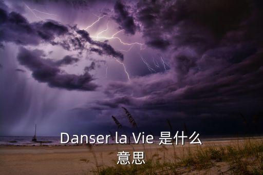 Danser la Vie 是什么意思