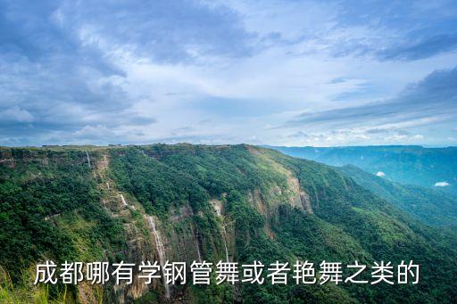 成都哪有学钢管舞或者艳舞之类的