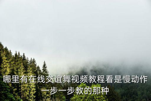 哪里有在线交谊舞视频教程看是慢动作一步一步教的那种