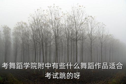 考舞蹈学院附中有些什么舞蹈作品适合考试跳的呀