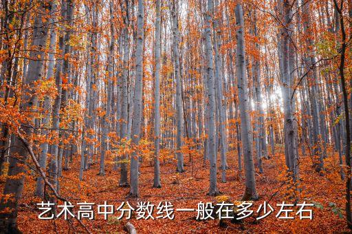 艺术高中分数线一般在多少左右
