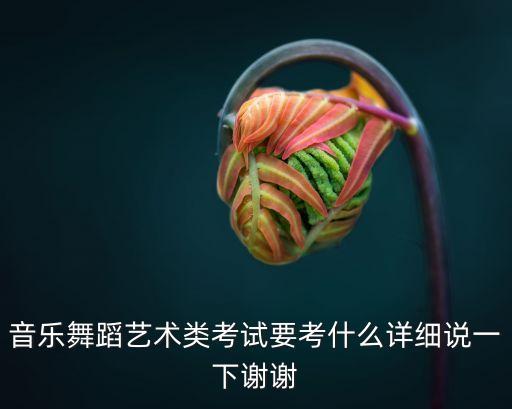 音乐舞蹈艺术类考试要考什么详细说一下谢谢