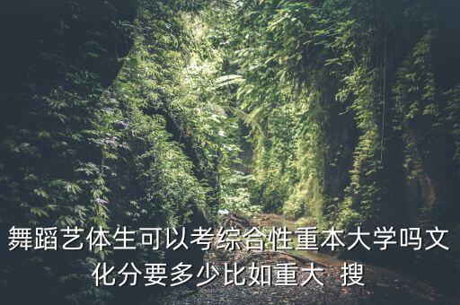舞蹈艺体生可以考综合性重本大学吗文化分要多少比如重大  搜