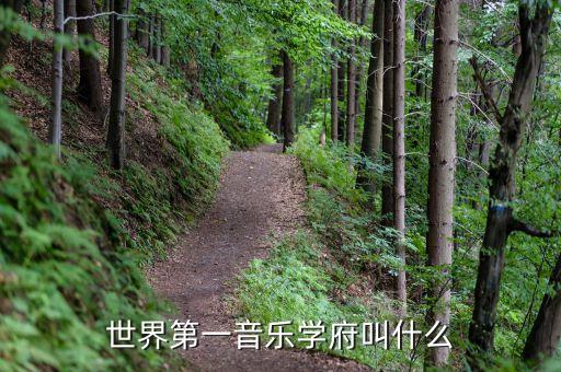 全球顶级音乐学院，世界排名第一的音乐学院在哪