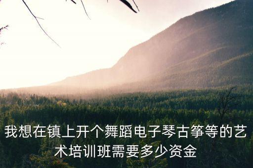 我想在镇上开个舞蹈电子琴古筝等的艺术培训班需要多少资金