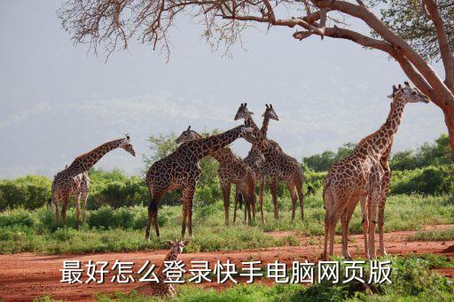 快手网页版入口 百度网盘，最好怎么登录快手电脑网页版