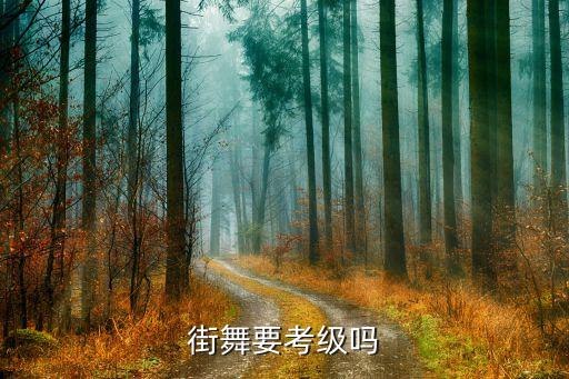 街舞考级有哪些，街舞考级一年有多少次
