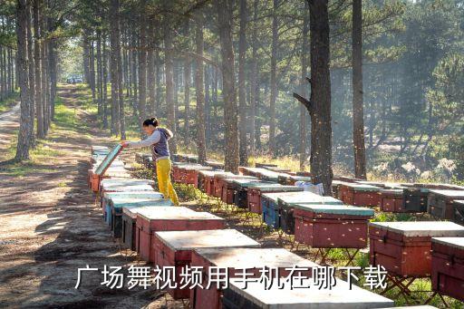 广场舞视频用手机在哪下载