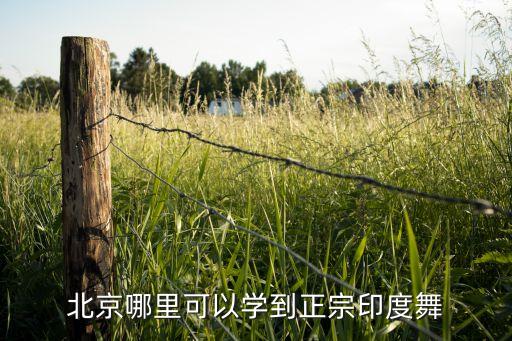 北京哪里可以学到正宗印度舞