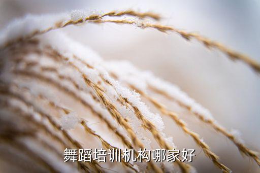 舞蹈培训机构哪家好
