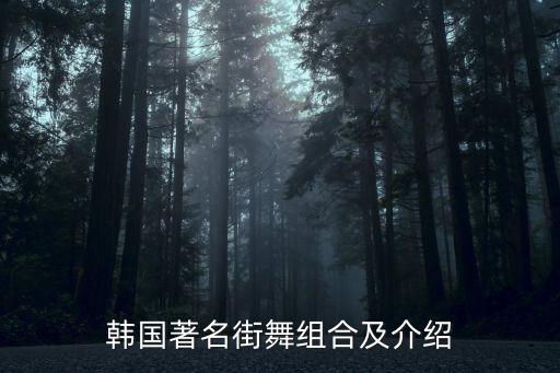 韩国舞蹈组合有哪些，韩国哪个组合跳舞跳得最好