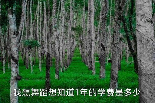 我想舞蹈想知道1年的学费是多少
