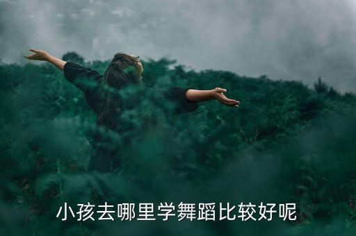 小孩去哪里学舞蹈比较好呢