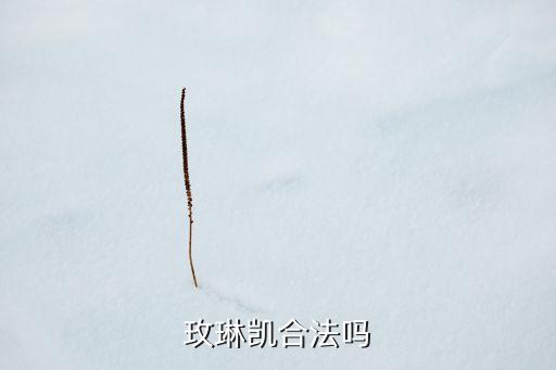 亲受的你在哪里广场舞，玫琳凯合法吗