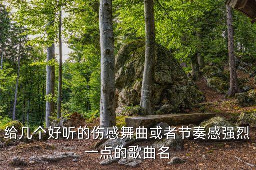 给几个好听的伤感舞曲或者节奏感强烈一点的歌曲名