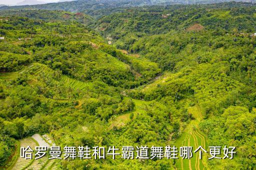 哈罗曼舞鞋和牛霸道舞鞋哪个更好