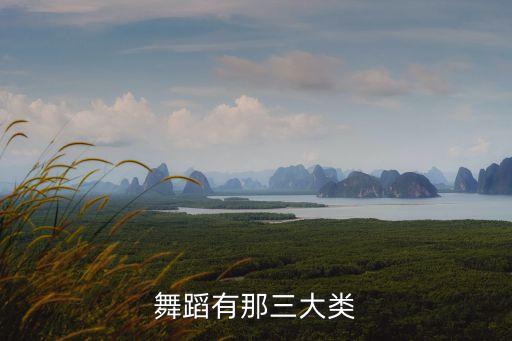 舞蹈形象的特点有哪些，蒙古舞的人物情感特点