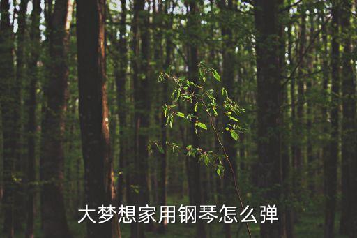 大梦想家用钢琴怎么弹