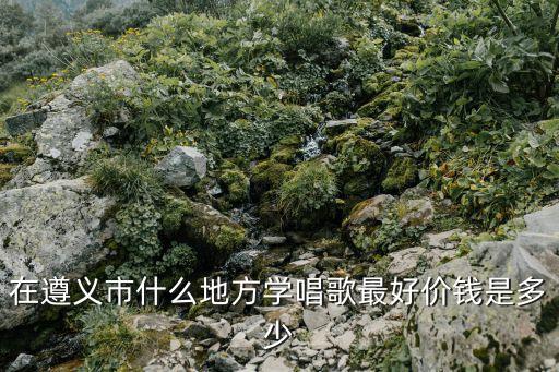 在遵义市什么地方学唱歌最好价钱是多少