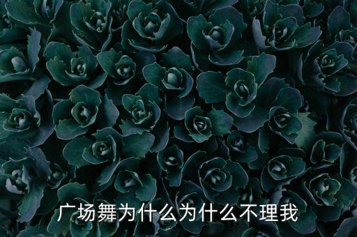 广场舞为什么为什么不理我