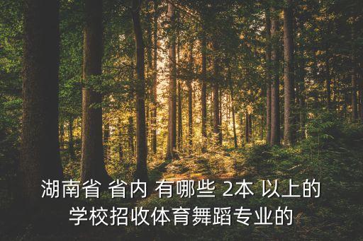 湖南省 省内 有哪些 2本 以上的学校招收体育舞蹈专业的