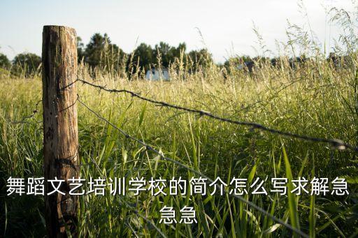 舞蹈文艺培训学校的简介怎么写求解急急急