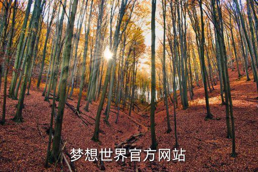 糖豆广场舞官网首页，热血英豪的官方网站