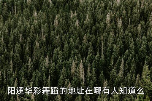 阳逻华彩舞蹈的地址在哪有人知道么