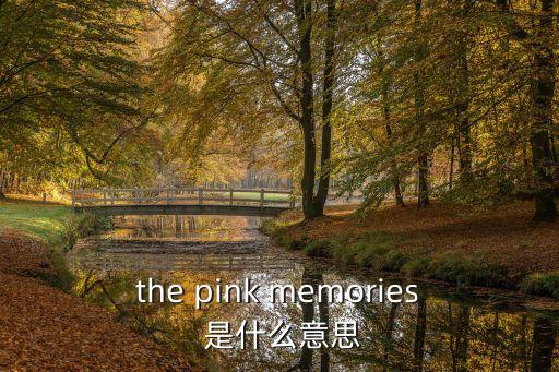 the pink memories 是什么意思