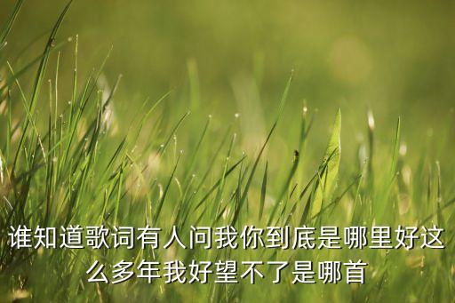 谁知道歌词有人问我你到底是哪里好这么多年我好望不了是哪首