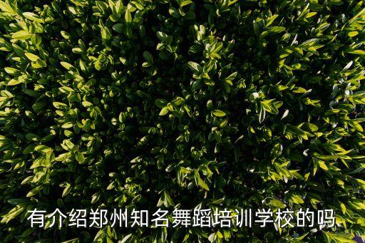 有介绍郑州知名舞蹈培训学校的吗