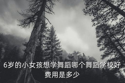 6岁的小女孩想学舞蹈哪个舞蹈学校好费用是多少