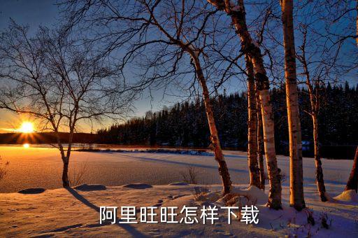 怎么下载阿里郎，谁知道电视剧金手指片头曲 阿里郎永不罢休在哪可以下载