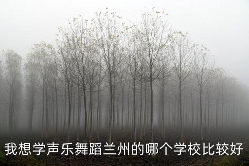 我想学声乐舞蹈兰州的哪个学校比较好