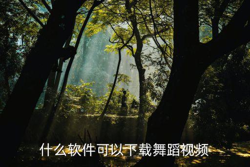 什么的歌什么的舞蹈视频下载，舞蹈视频下载