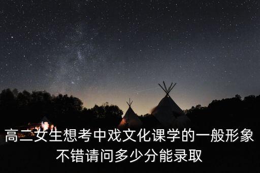 高二女生想考中戏文化课学的一般形象不错请问多少分能录取